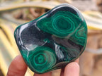 Polished Flower Banded Malachite Free Forms x 12 From Congo - Toprock Gemstones and Minerals 