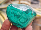 Polished Flower Banded Malachite Free Forms x 12 From Congo - Toprock Gemstones and Minerals 