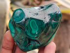 Polished Flower Banded Malachite Free Forms x 12 From Congo - Toprock Gemstones and Minerals 