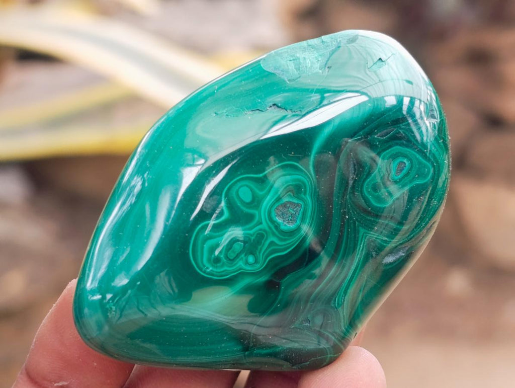 Polished Flower Banded Malachite Free Forms x 12 From Congo - Toprock Gemstones and Minerals 