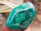 Polished Flower Banded Malachite Free Forms x 12 From Congo - Toprock Gemstones and Minerals 