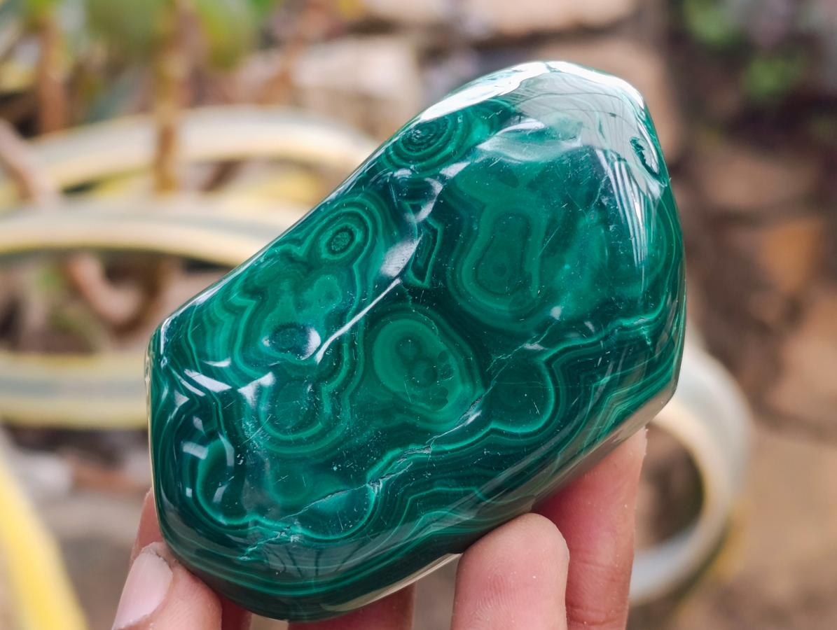 Polished Flower Banded Malachite Free Forms x 12 From Congo - Toprock Gemstones and Minerals 