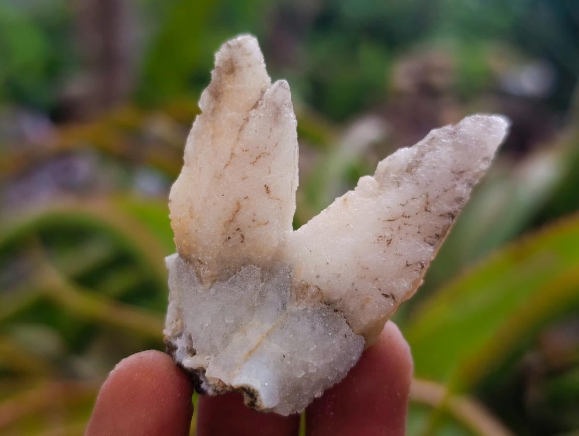 Natural Drusy Quartz Coated Spearhead Calcite Crystals x 35 From Albert's Mountain, Lesotho - Toprock Gemstones and Minerals 