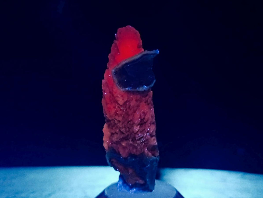 Natural Drusy Quartz Coated Spearhead Calcite Crystals x 35 From Albert's Mountain, Lesotho - Toprock Gemstones and Minerals 