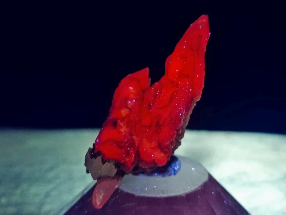 Natural Drusy Quartz Coated Spearhead Calcite Crystals x 35 From Albert's Mountain, Lesotho - Toprock Gemstones and Minerals 