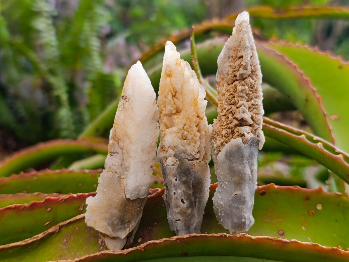 Natural Drusy Quartz Coated Spearhead Calcite Crystals x 35 From Albert's Mountain, Lesotho - Toprock Gemstones and Minerals 