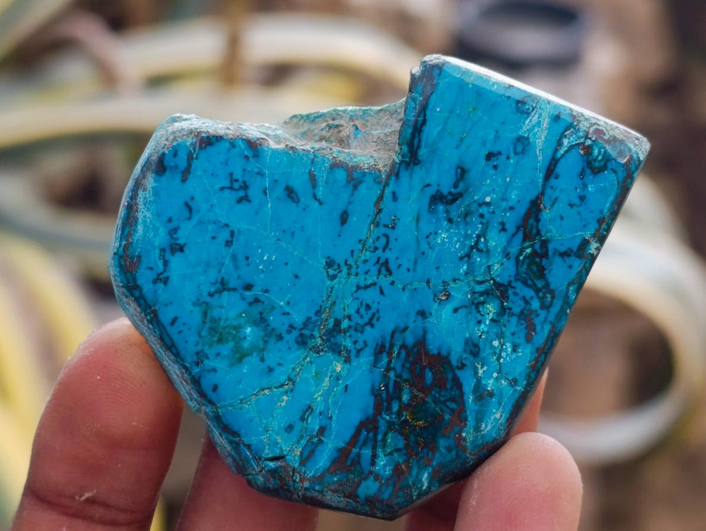 Polished One Side Shattuckite Slices x 17 From Kaokoveld, Namibia - Toprock Gemstones and Minerals 
