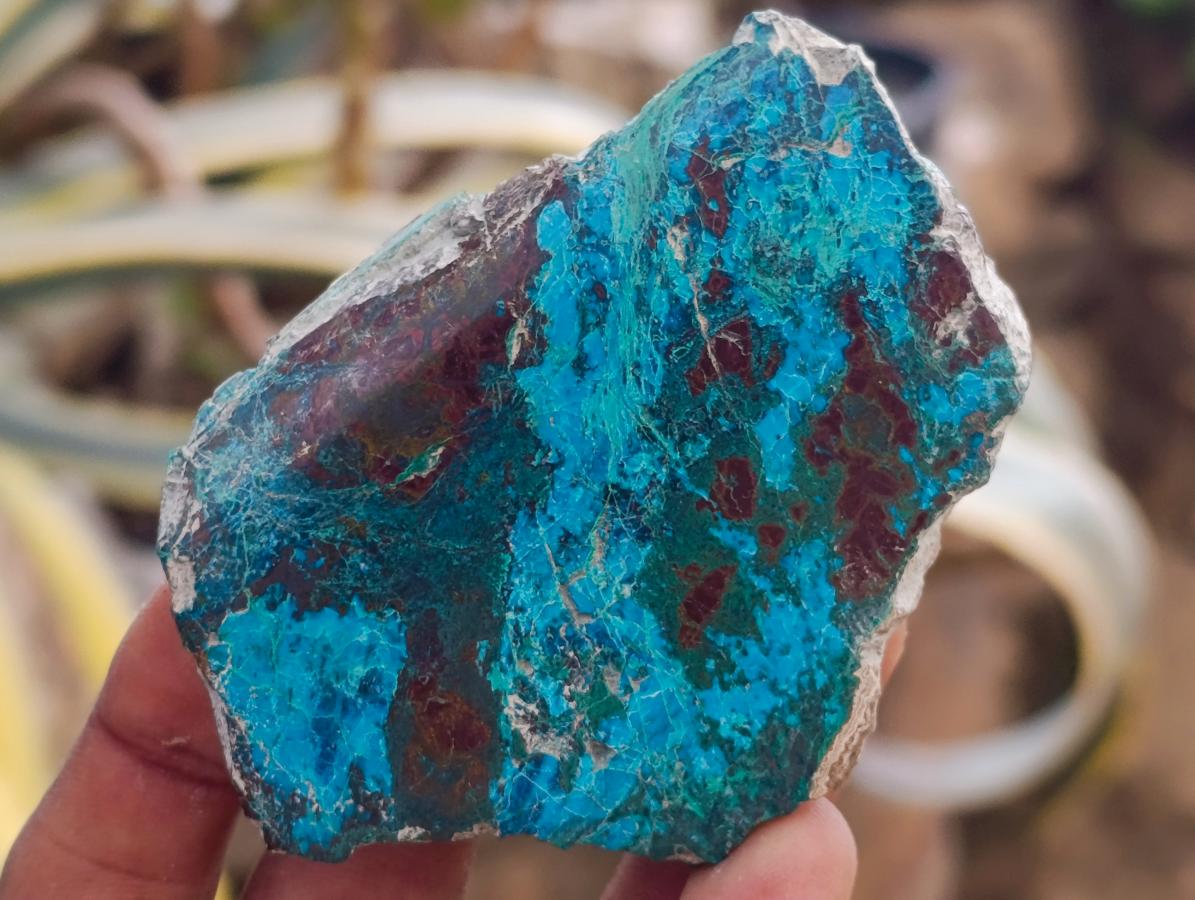 Polished One Side Shattuckite Slices x 17 From Kaokoveld, Namibia - Toprock Gemstones and Minerals 