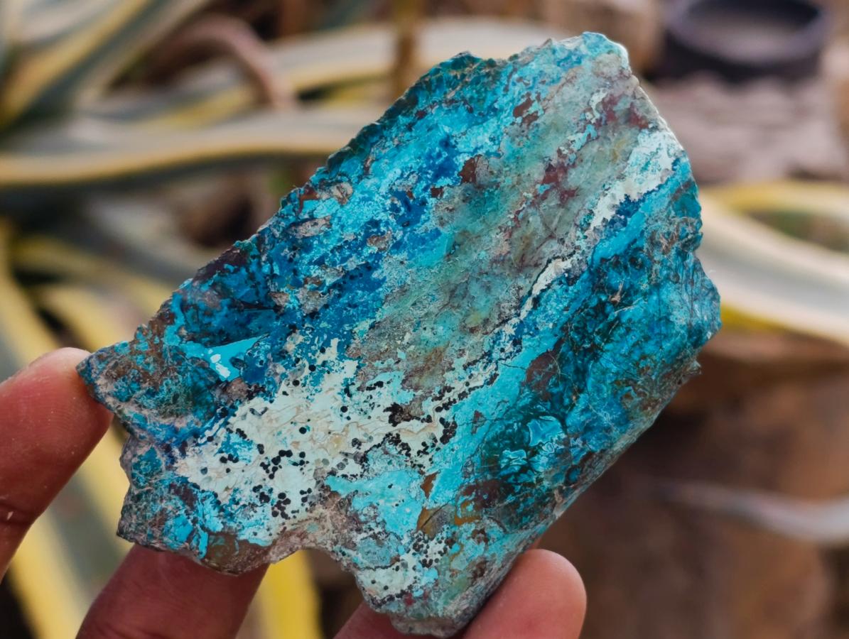 Polished One Side Shattuckite Slices x 17 From Kaokoveld, Namibia - Toprock Gemstones and Minerals 