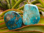 Polished One Side Shattuckite Slices x 17 From Kaokoveld, Namibia - Toprock Gemstones and Minerals 