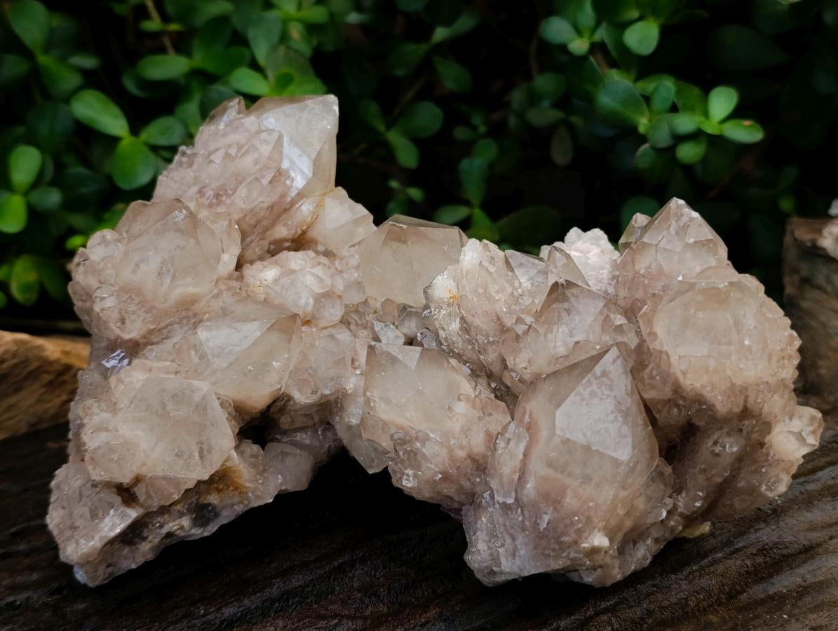 Natural Large Cascading White Phantom Smokey Luena Quartz Clusters x 2 From Luena, Congo - Toprock Gemstones and Minerals 