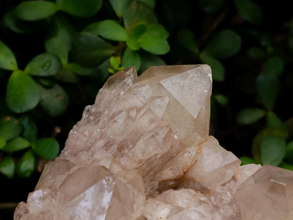Natural Large Cascading White Phantom Smokey Luena Quartz Clusters x 2 From Luena, Congo - Toprock Gemstones and Minerals 