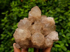 Natural Large Cascading White Phantom Smokey Luena Quartz Clusters x 2 From Luena, Congo - Toprock Gemstones and Minerals 