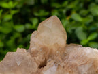 Natural Large Cascading White Phantom Smokey Luena Quartz Clusters x 2 From Luena, Congo - Toprock Gemstones and Minerals 