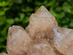 Natural Large Cascading White Phantom Smokey Luena Quartz Clusters x 2 From Luena, Congo - Toprock Gemstones and Minerals 