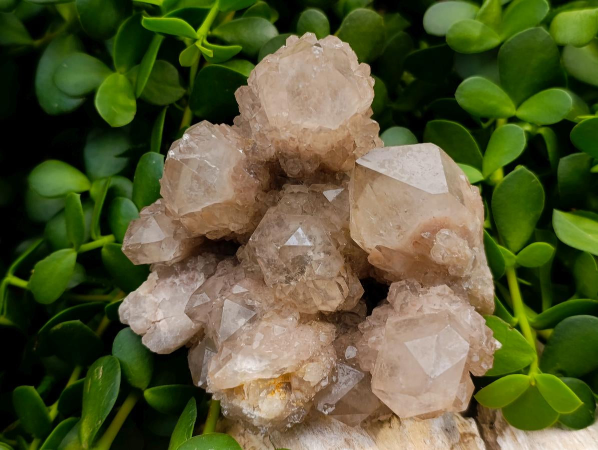 Natural Large Cascading White Phantom Smokey Luena Quartz Clusters x 2 From Luena, Congo - Toprock Gemstones and Minerals 