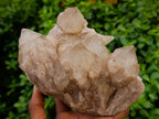 Natural Large Cascading White Phantom Smokey Luena Quartz Clusters x 2 From Luena, Congo - Toprock Gemstones and Minerals 
