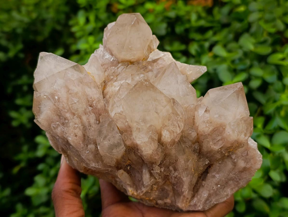Natural Large Cascading White Phantom Smokey Luena Quartz Clusters x 2 From Luena, Congo - Toprock Gemstones and Minerals 