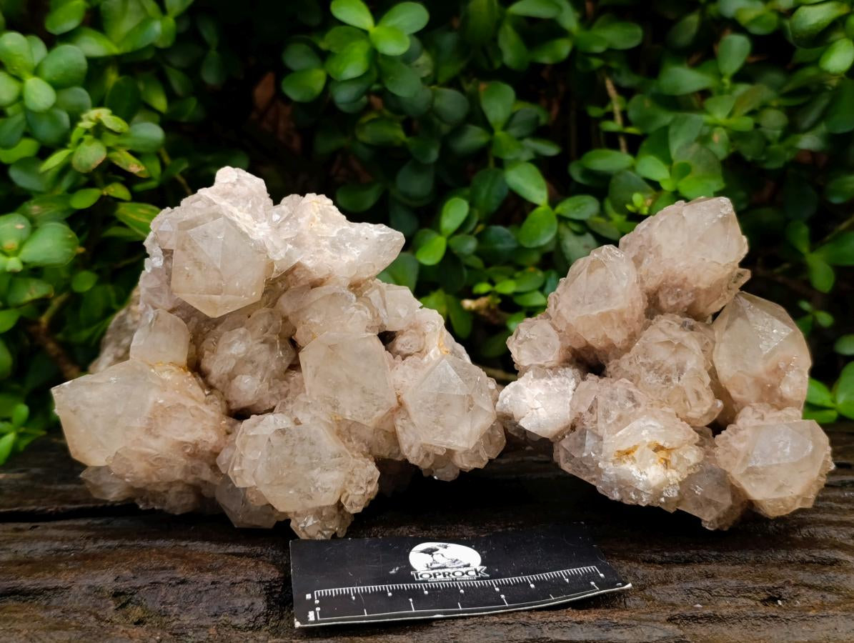 Natural Large Cascading White Phantom Smokey Luena Quartz Clusters x 2 From Luena, Congo - Toprock Gemstones and Minerals 