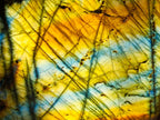 Polished Labradorite Standing Free Forms x 2 From Madagascar - Toprock Gemstones and Minerals 