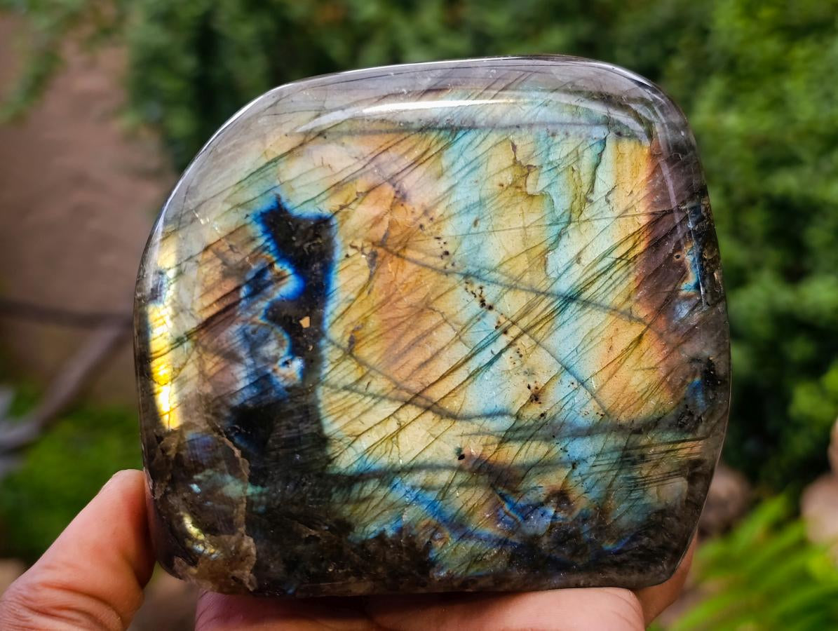 Polished Labradorite Standing Free Forms x 2 From Madagascar - Toprock Gemstones and Minerals 