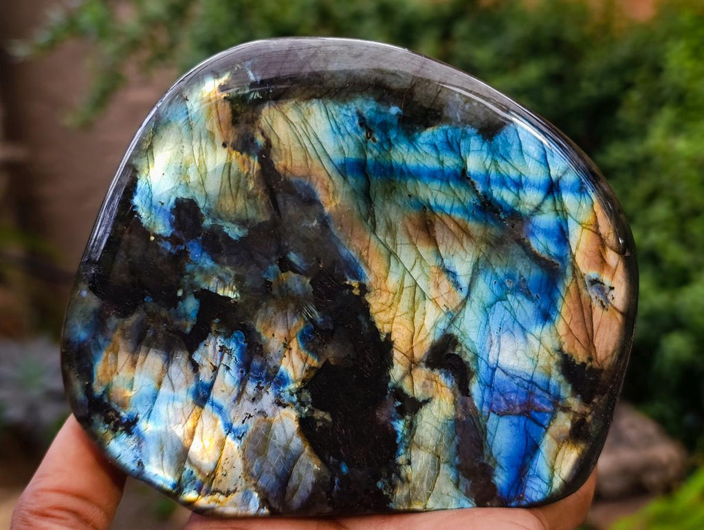 Polished Labradorite Standing Free Forms x 2 From Madagascar - Toprock Gemstones and Minerals 