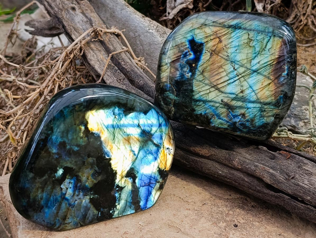 Polished Labradorite Standing Free Forms x 2 From Madagascar - Toprock Gemstones and Minerals 