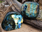 Polished Labradorite Standing Free Forms x 2 From Madagascar - Toprock Gemstones and Minerals 