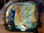 Polished Labradorite Standing Free Forms x 2 From Madagascar - Toprock Gemstones and Minerals 