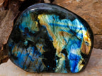 Polished Labradorite Standing Free Forms x 2 From Madagascar - Toprock Gemstones and Minerals 