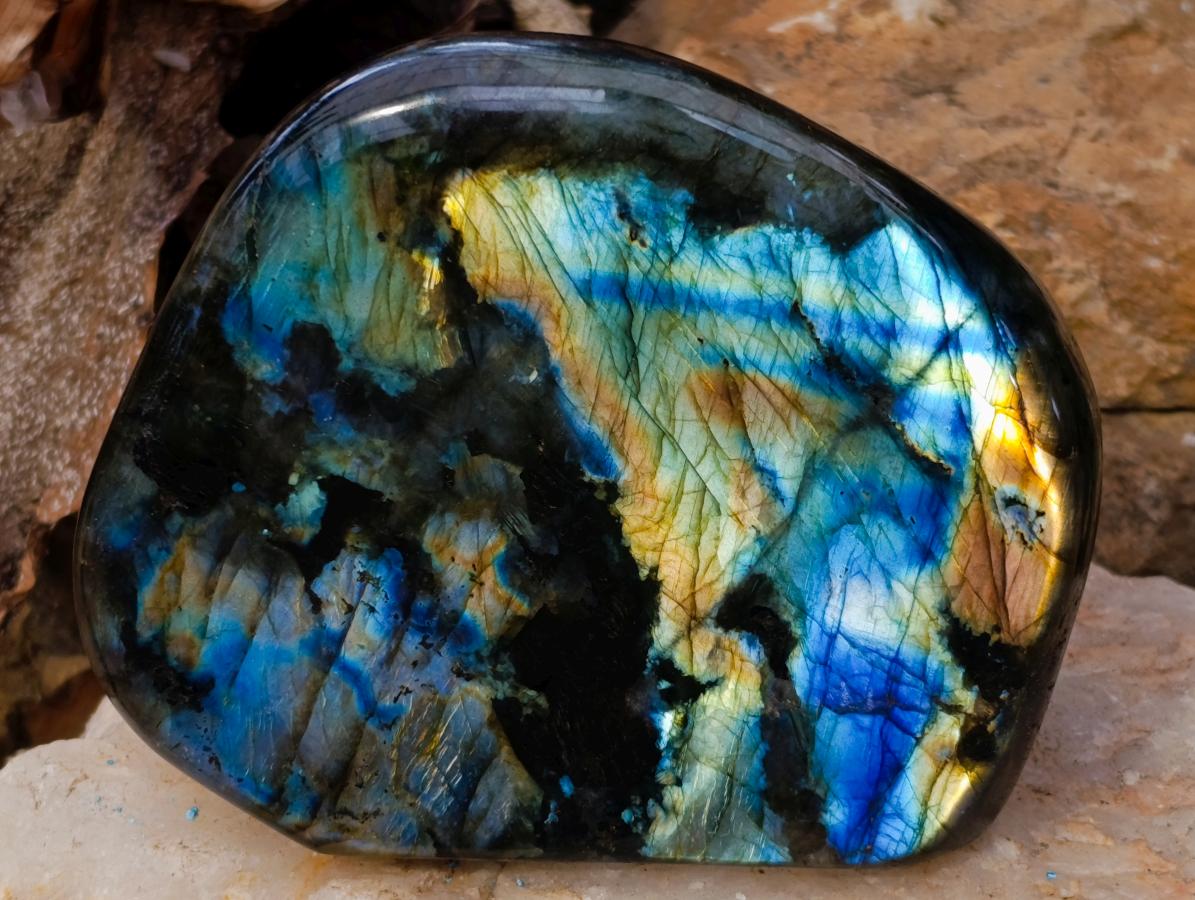Polished Labradorite Standing Free Forms x 2 From Madagascar - Toprock Gemstones and Minerals 