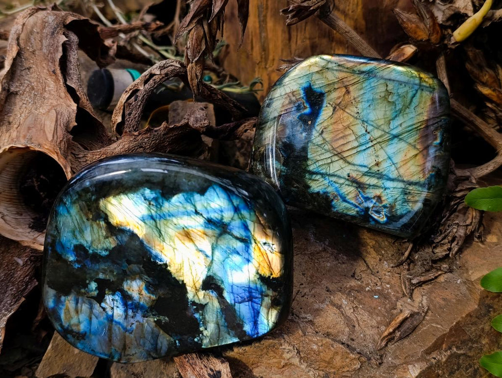 Polished Labradorite Standing Free Forms x 2 From Madagascar - Toprock Gemstones and Minerals 