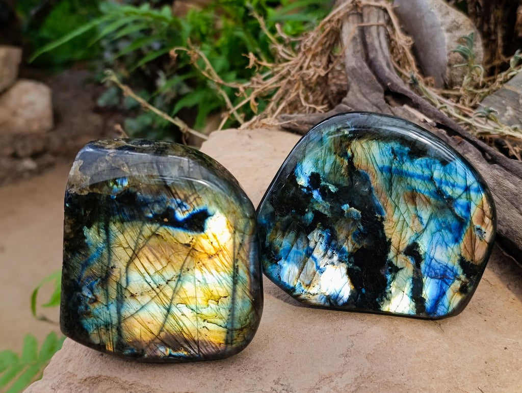 Polished Labradorite Standing Free Forms x 2 From Madagascar - Toprock Gemstones and Minerals 