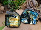 Polished Labradorite Standing Free Forms x 2 From Madagascar - Toprock Gemstones and Minerals 
