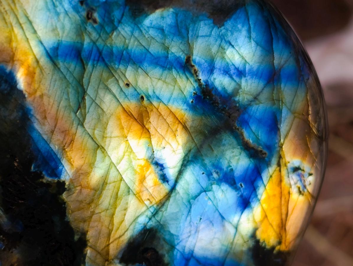 Polished Labradorite Standing Free Forms x 2 From Madagascar - Toprock Gemstones and Minerals 