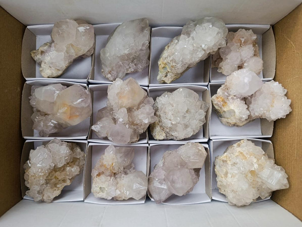 Natural Large White Cactus Flower Spirit Clusters x 12 From Boekenhouthoek, South Africa - Toprock Gemstones and Minerals 