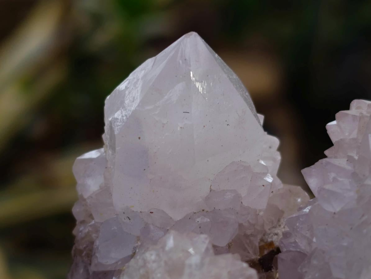Natural Large White Cactus Flower Spirit Clusters x 12 From Boekenhouthoek, South Africa - Toprock Gemstones and Minerals 