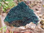 Natural Large Crystalline Malachite Specimen x 1 From Tenke Fungurume, Congo - Toprock Gemstones and Minerals 