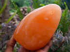 Polished Orange Twist Calcite Standing Free Forms x 2 From Maevantanana, Madagascar - Toprock Gemstones and Minerals 