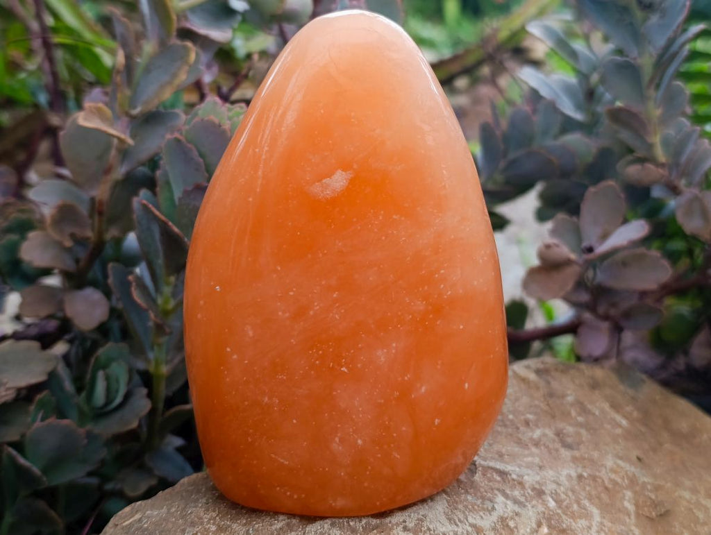 Polished Orange Twist Calcite Standing Free Forms x 2 From Maevantanana, Madagascar - Toprock Gemstones and Minerals 