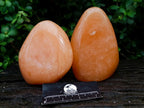 Polished Orange Twist Calcite Standing Free Forms x 2 From Maevantanana, Madagascar - Toprock Gemstones and Minerals 