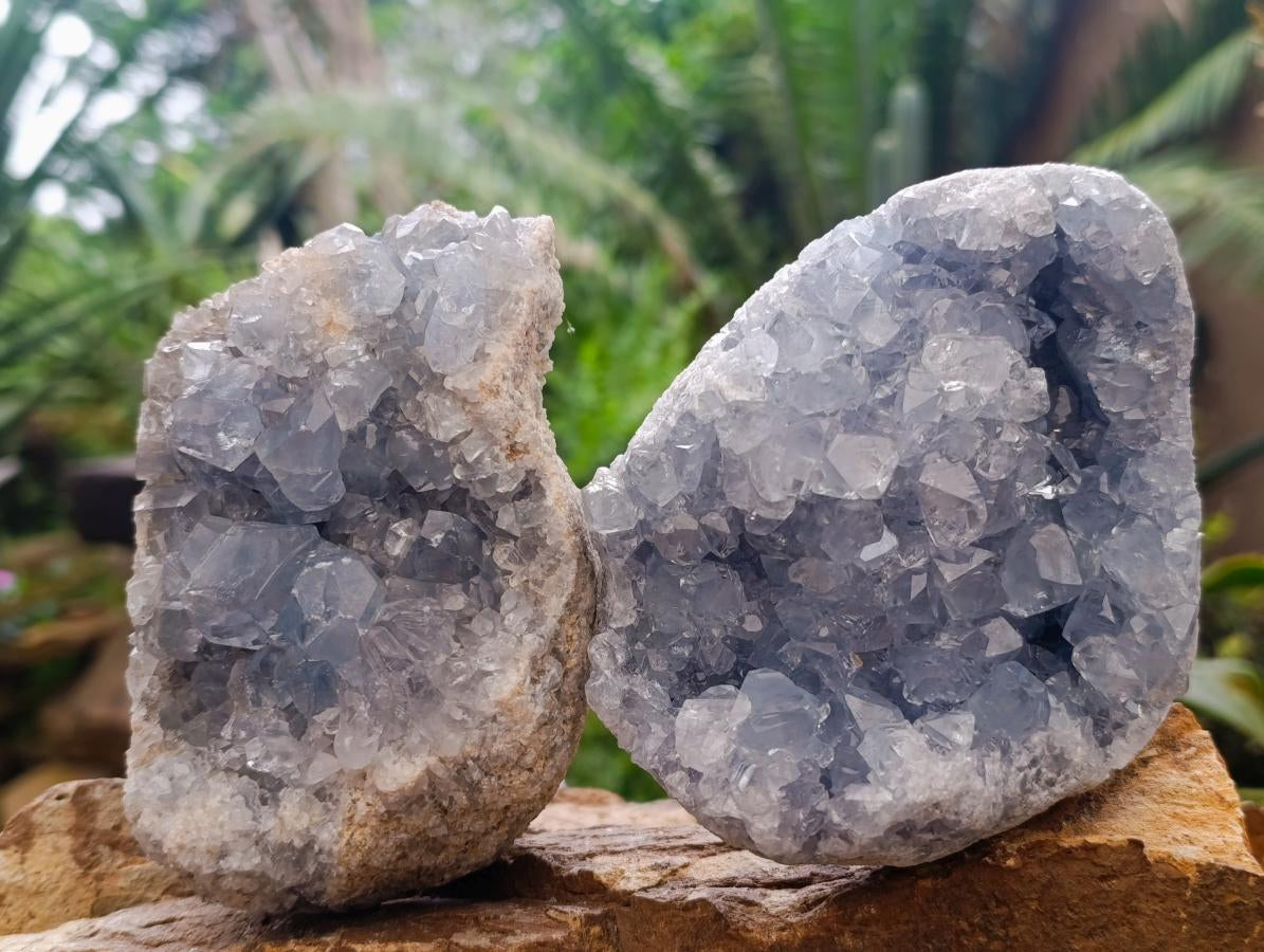 Natural Blue Celestite Geode Specimens x 2 From Sakoany, Madagascar - Toprock Gemstones and Minerals 