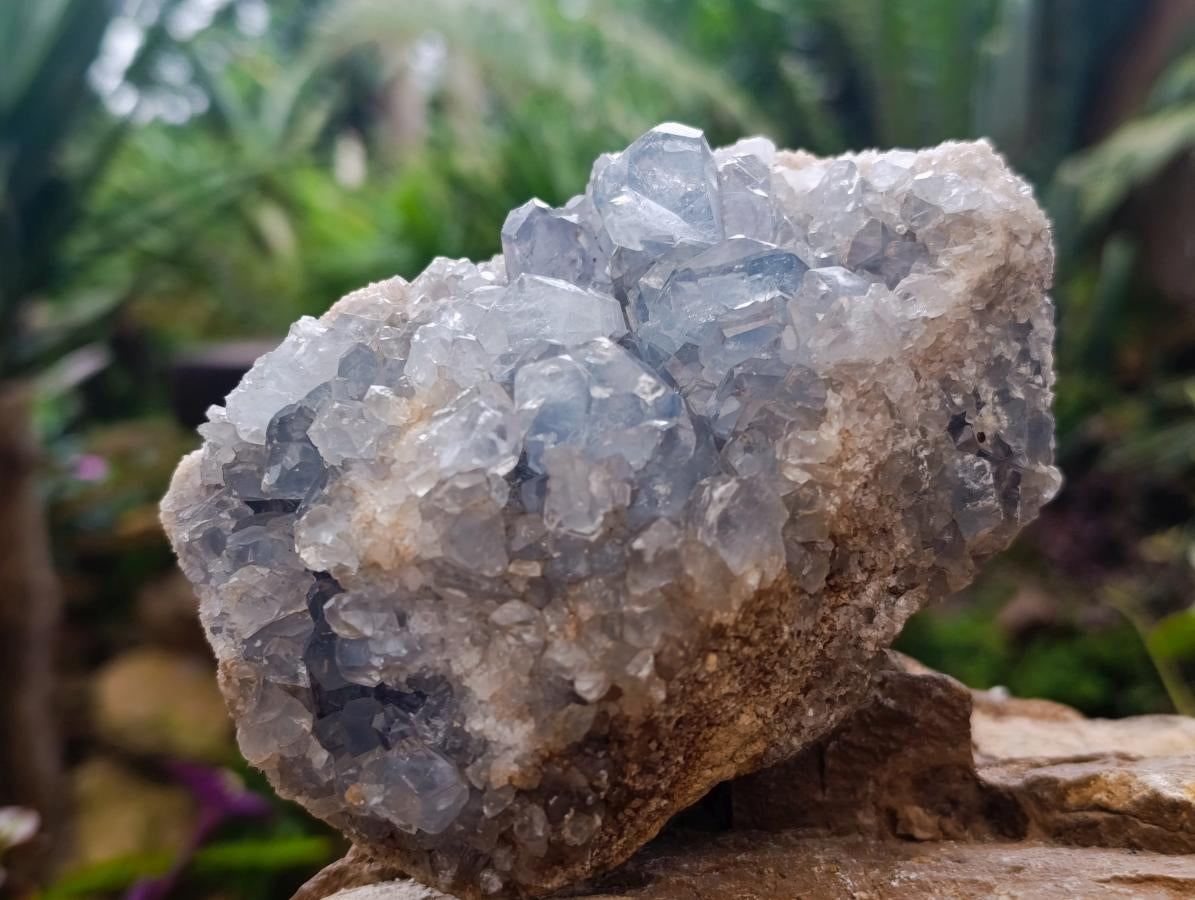 Natural Blue Celestite Geode Specimens x 2 From Sakoany, Madagascar - Toprock Gemstones and Minerals 