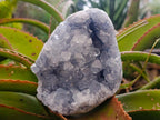 Natural Blue Celestite Geode Specimens x 2 From Sakoany, Madagascar - Toprock Gemstones and Minerals 
