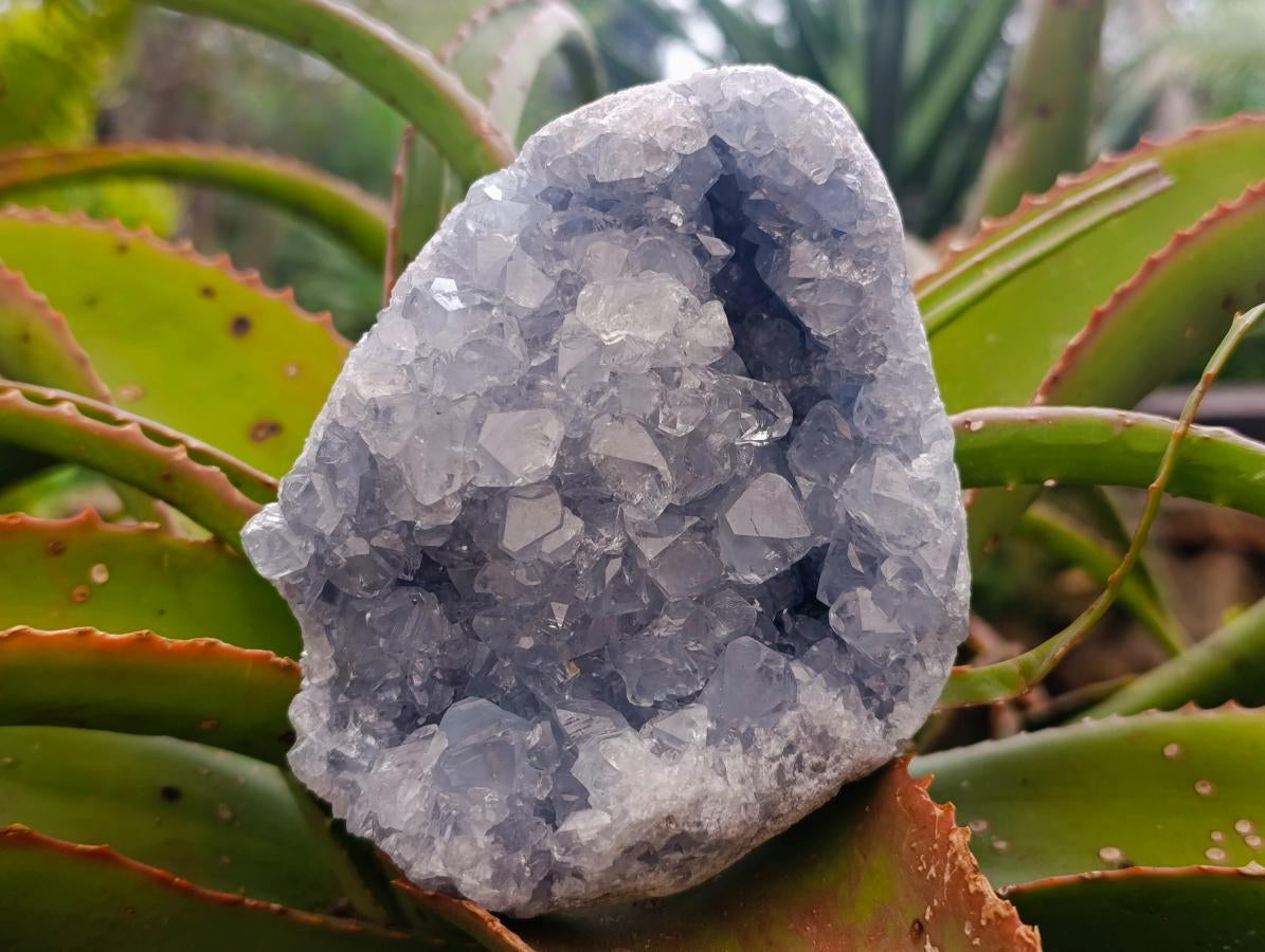 Natural Blue Celestite Geode Specimens x 2 From Sakoany, Madagascar - Toprock Gemstones and Minerals 