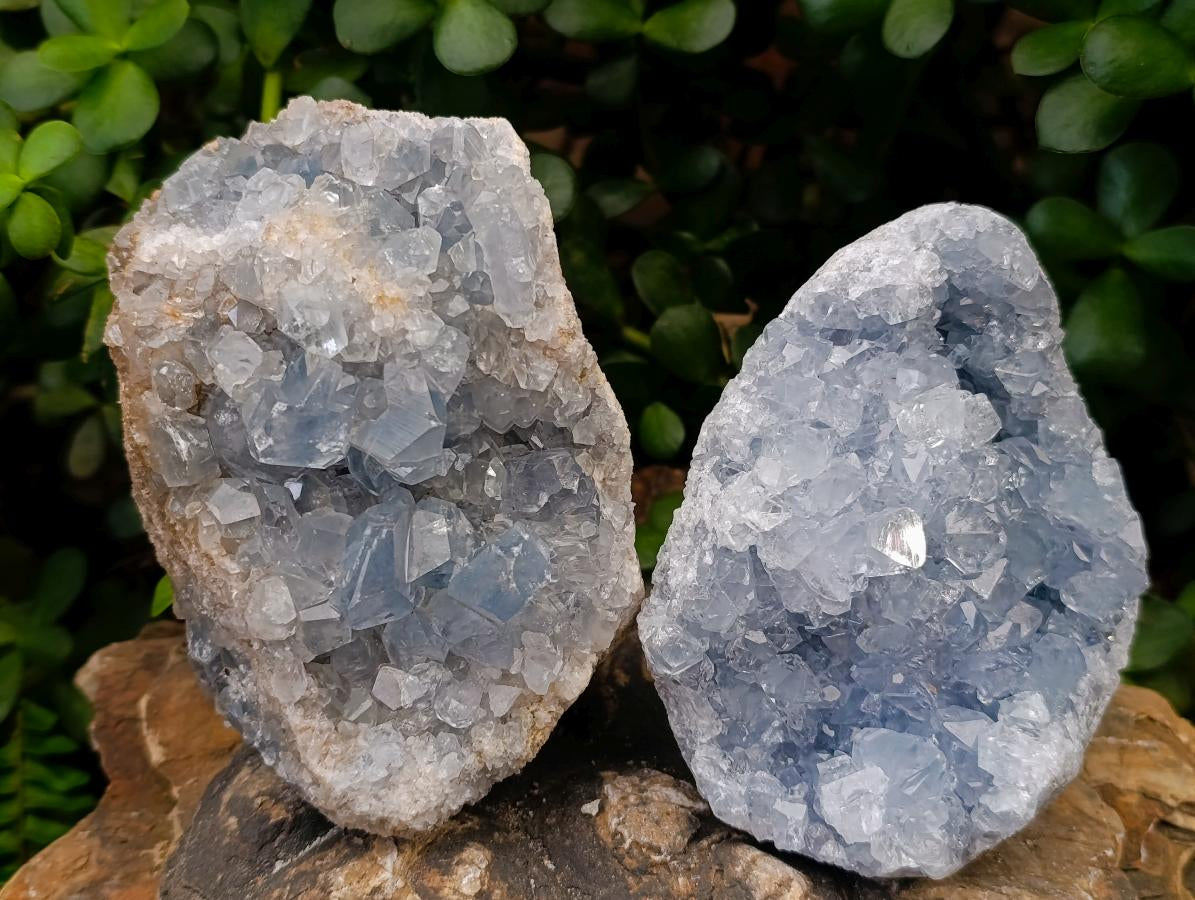 Natural Blue Celestite Geode Specimens x 2 From Sakoany, Madagascar - Toprock Gemstones and Minerals 