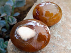 Polished Carnelian Agate Gemstone Galets x 12 From Madagascar - Toprock Gemstones and Minerals 