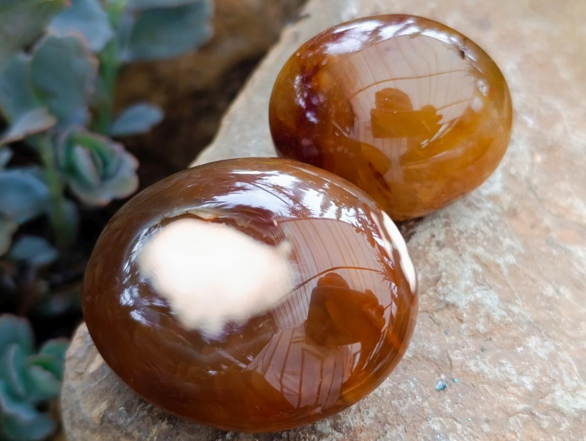 Polished Carnelian Agate Gemstone Galets x 12 From Madagascar - Toprock Gemstones and Minerals 
