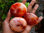 Polished Carnelian Agate Gemstone Galets x 12 From Madagascar - Toprock Gemstones and Minerals 
