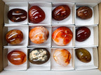 Polished Carnelian Agate Gemstone Galets x 12 From Madagascar - Toprock Gemstones and Minerals 